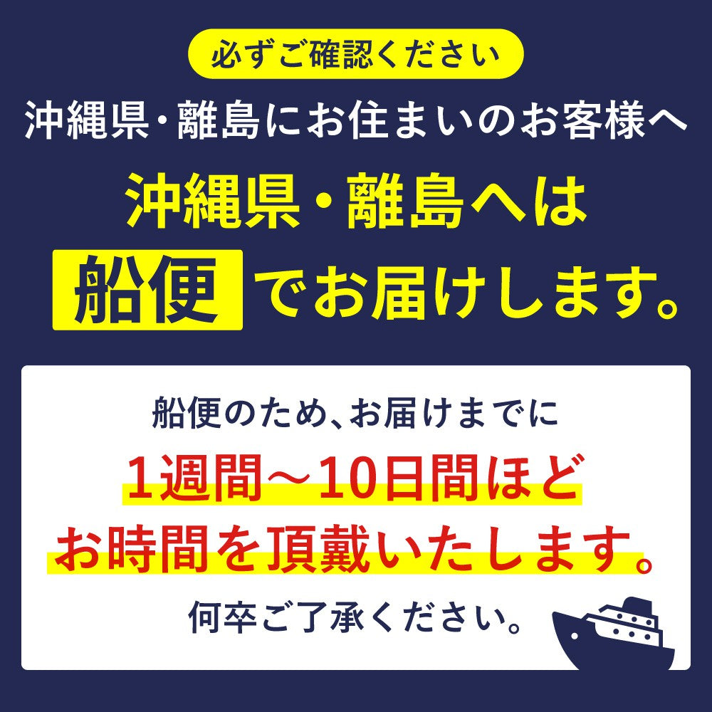 水のいらない洗車スプレー 瞬(しゅん)つめかえ用