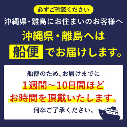 水のいらない洗車スプレー 瞬（しゅん）