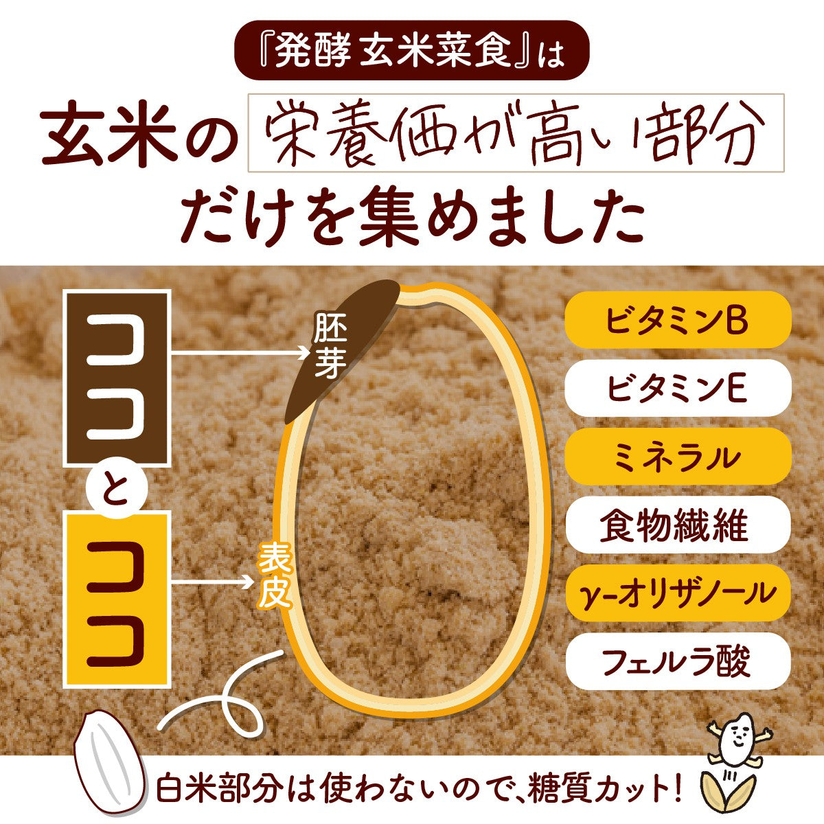 食べる米ぬか サプリメント 発酵 玄米菜食 30日