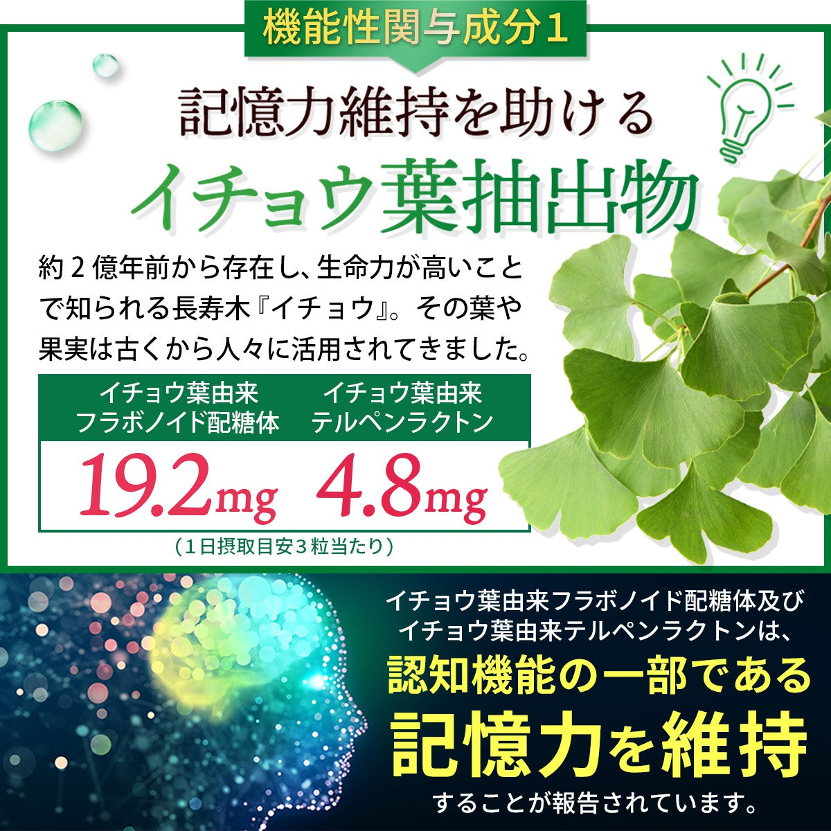 記憶力維持 目の疲労感緩和 サプリメント メモリー＆アイ 30日分